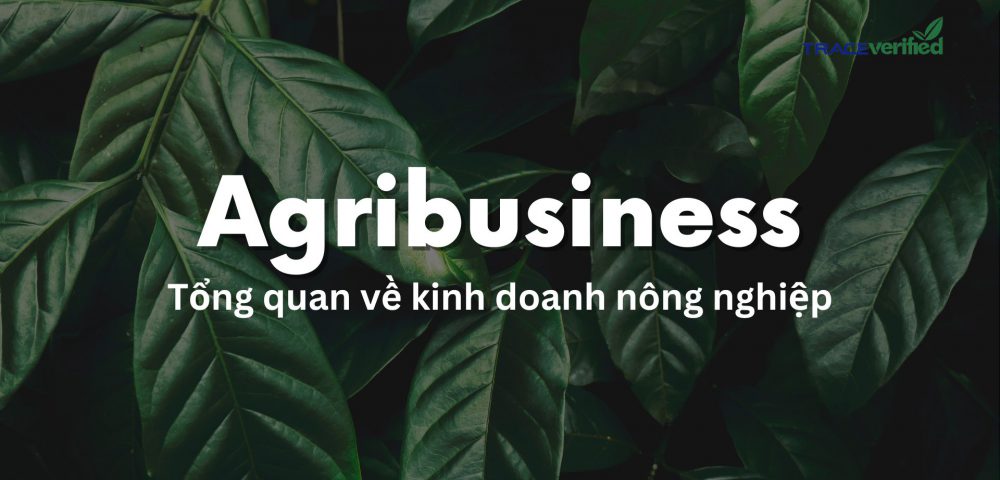 Tổng Quan Về Kinh Doanh Nông Nghiệp – Agribusiness